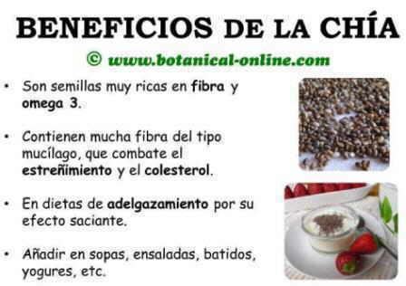 Beneficios de la chía Botanical online