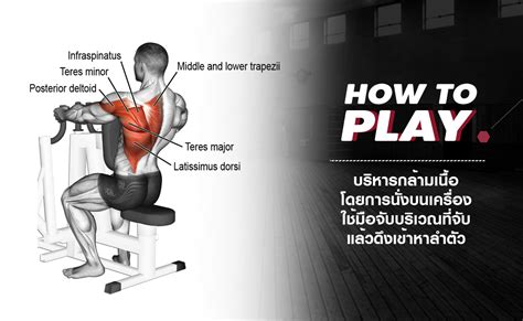 Ongsa Fitness Seated Row Bh Ongsafitnessloei