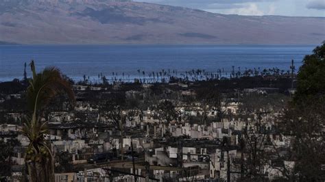 Zahl Der Opfer Auf Maui Steigt Auf 110 Hunderte Vermisst Snat