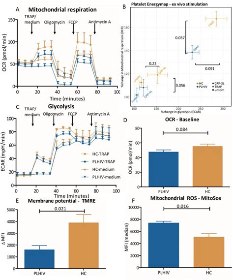 Platelet Energy Phenotype Determined By The Seahorse Extracellular Flux