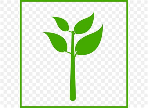 Green Plant Favicon Clip Art Png 600x600px Green Brand Color