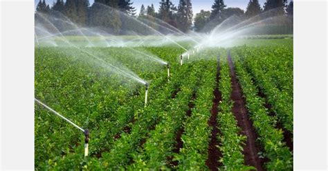 iran development   hectares   irrigation systems