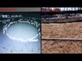 The Disturbing Video Of Hundreds Of Sheep Walking In A Circle For 12