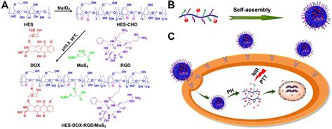 Schematic Illustration For The Preparation Of Hes Dox Micelles And Drug