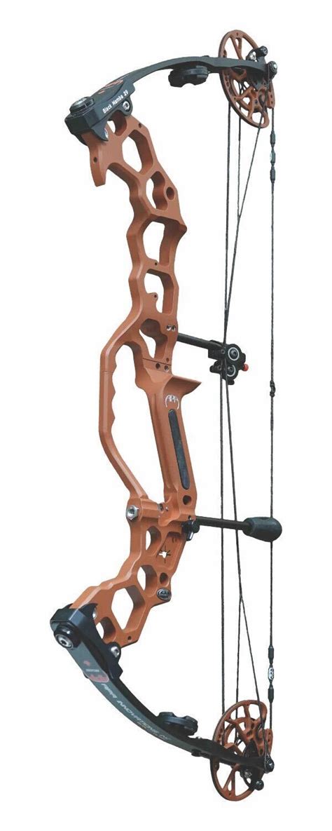 Hot New Flagship Compound Bows For Archery Business