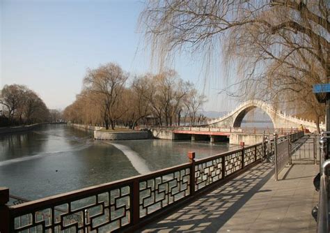 Appreciating Willows along the Chang River Photo, Appreciating Willows along the Chang River ...