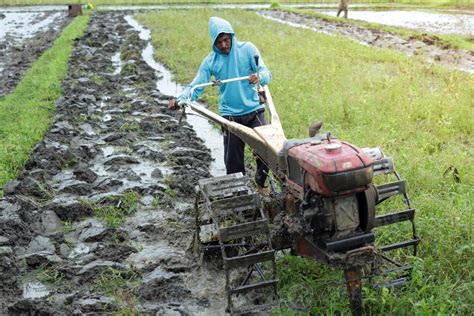 People are plowing fields 13248412 Stock Photo at Vecteezy