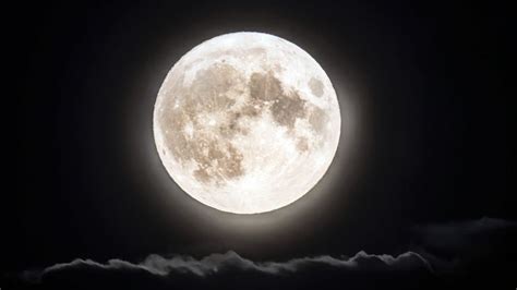 Blue supermoon: Stunning pictures capture lunar event around the world | Science, Climate & Tech ...