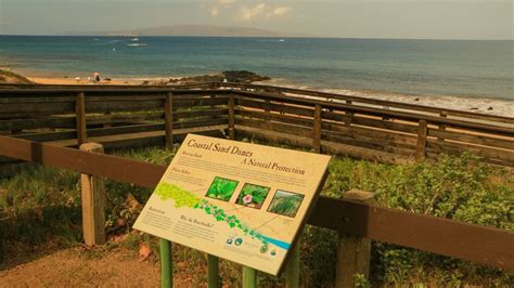 Kihei Maui Information | Best Activities To Do