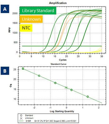 NGS Library Quantification Kit For Small RNA Seq Norgen Biotek Corp