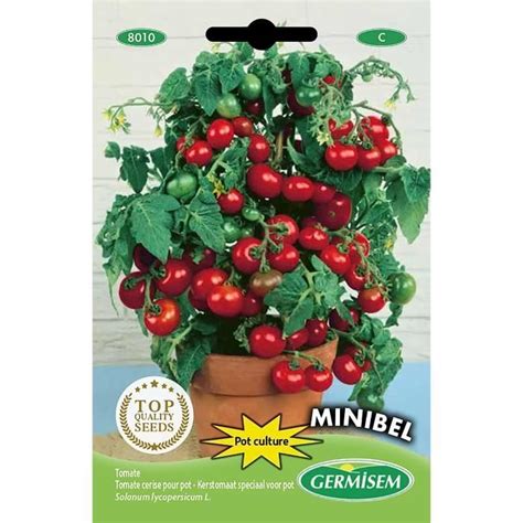 Weye Germisem Graines Tomate Cerise Pour Pot Minibel Cdiscount