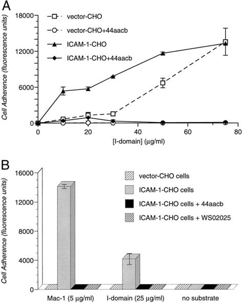 Peptides Derived From The Complementarity Determining Regions Of Anti