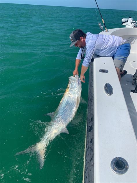 Boca Grande Tarpon Fishing Charters Boca Grande Fishing Charters