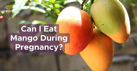 Can I Eat Mango During Pregnancy A Comprehensive Guide To Mango