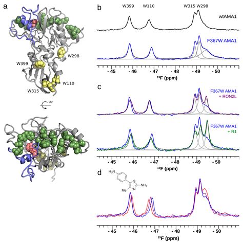 Molecules Free Full Text Applications Of F Nmr In Fragment Based