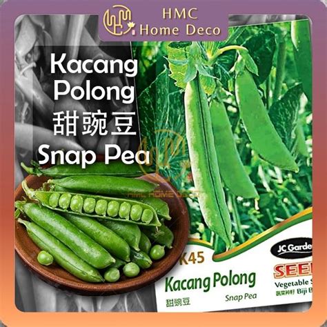 HMC K45 Snap Pea JC GARDEN VEGETABLE SEED GARDENING PLANTING TANAMAN