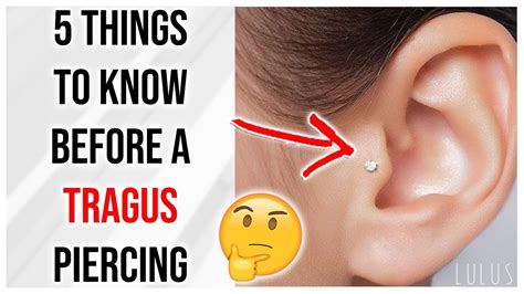 Vertical Tragus (LIMITED TIME ONLY!!), 50% OFF | clc.cet.edu