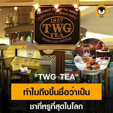 Torpenguin ผชายขายบรการ TWG TEA ทำไมถงขนชอวาเปนชาทหร