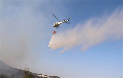 Los Delitos Por Incendios Forestales Han Aumentado Un 140 En Lo Que Va