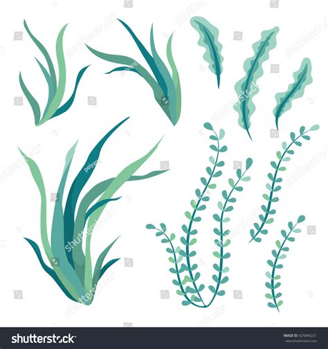 Hand Drawn Underwater Seaweed Elements Isolated On White Background