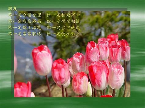 郁金香花语word文档在线阅读与下载无忧文档