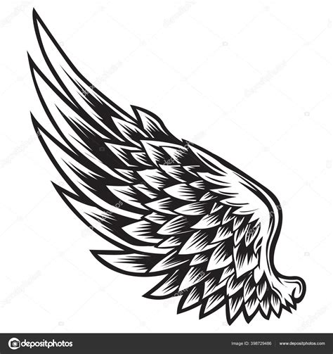 Wings Bird Black White Bird Wings Feathers Vector Illustrator Stock