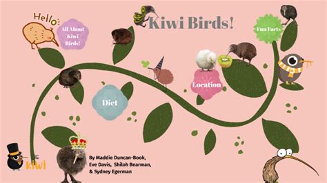 Cit Project Kiwi Birds By Madeline Duncan Book On Prezi