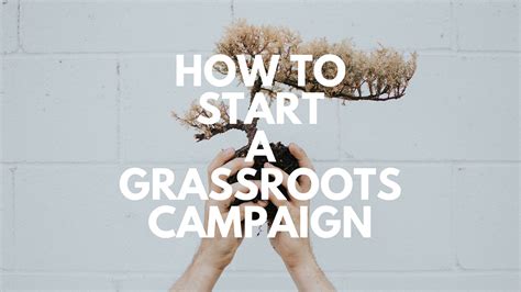 How To Start A Grassroots Advocacy Campaign • Callhub