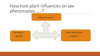 Host Plant Inflenses On Sex Pheromone PPTX Perfume And Fragrance Beauty