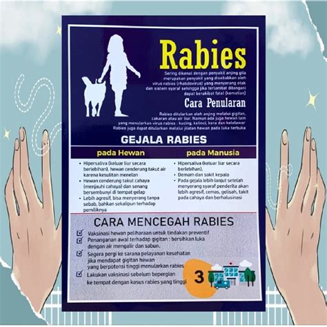 Jual Poster Rabies Poster Cara Penularan Dan Gejala Rabies Poster