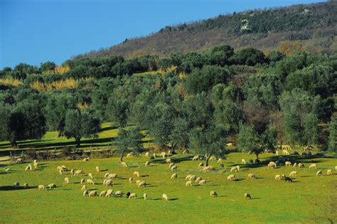 Paesaggi Rurali In Italia Nuovi Territori Entrano Nel Registro