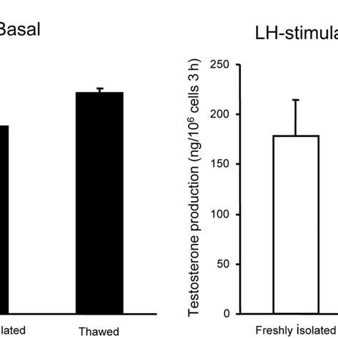 Basal And Lh Stimulated Testosterone Production By Adult Leydig Cells