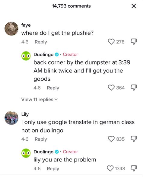 Duolingo Being Unhinged Series Pt In Funny Texts Jokes