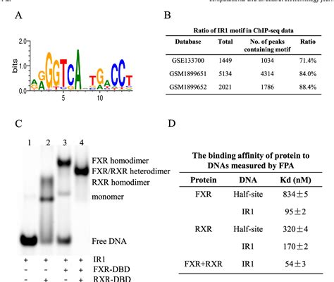 Figure 1 From Structural Basis Of The Farnesoid X Receptor Retinoid X