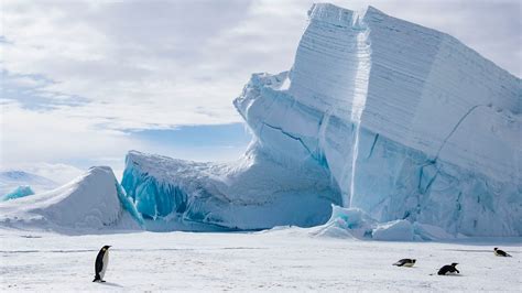 Antarctic Explorer Express | Antarctica Cruises