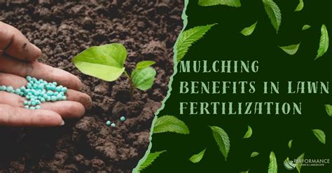 Mulching Benefits In Lawn Fertilization