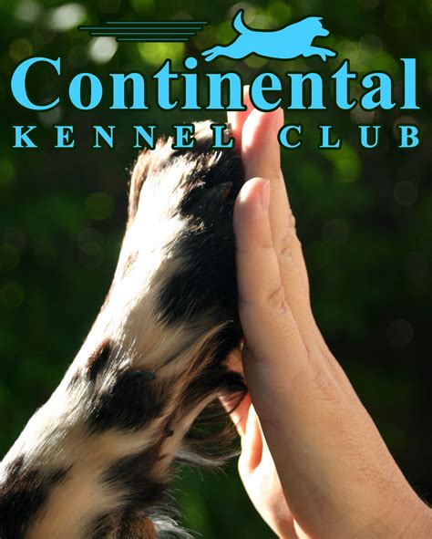 Pet Adoption Des Moines Iowa | StructuredPet