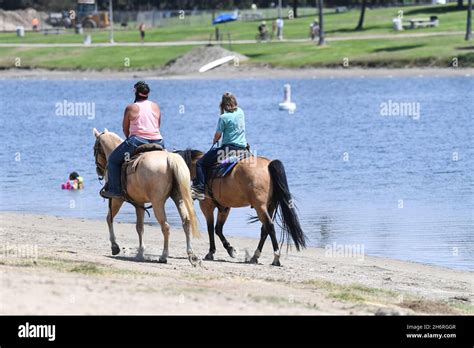 Riding Horses Along The Shore Of Fiesta Island In San Diegos Mission