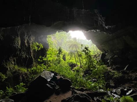 Cientistas estudam bactérias de caverna em busca de biodiversidade e