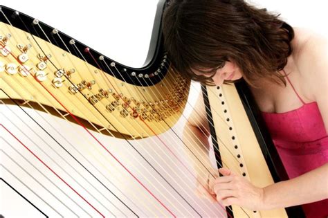 Bollywood Harpists For Hire Asian Wedding Harpists In Uk Harp Players Steppin Out