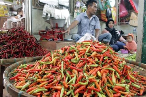 Harga Cabai Sret Di Wonogiri Melambung Ini Saran Untuk Konsumen