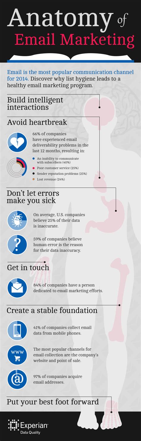 Anatomy Of Email Marketing Infographic Experian