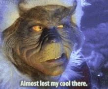 Grinch GIFs | Tenor