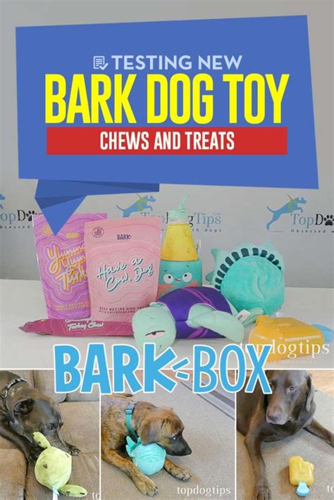 Review: BARK Dog Toys, Chews and Treats – Top Dog Tips