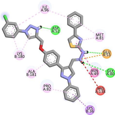 2D Interactions Of Novobiocin In Crystal Structure Of Topoisomerase IV