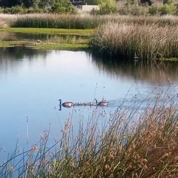 Willow Hill Reservoir Community Park Updated December