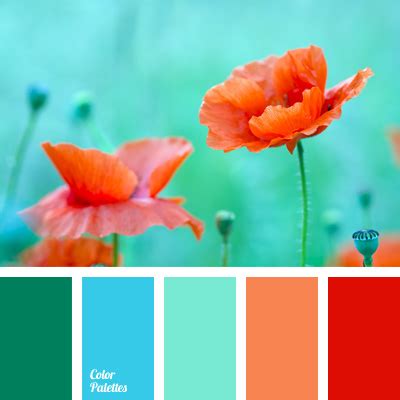 Coral Color Palette