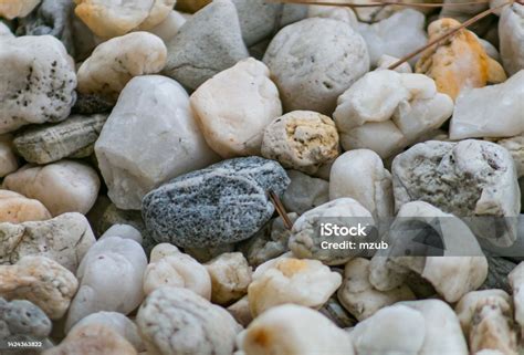 river rock pathway stock photo  image  abstract