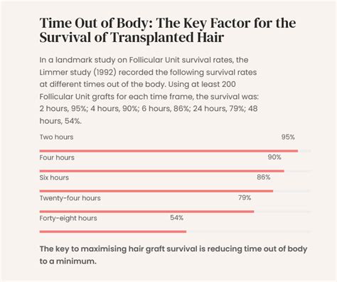 Understanding Hair Transplant Success Rates The Time Factor