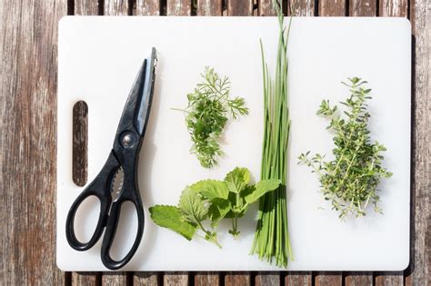 Download Cooking Spices & Herbs Royalty Free Stock Photo and Image